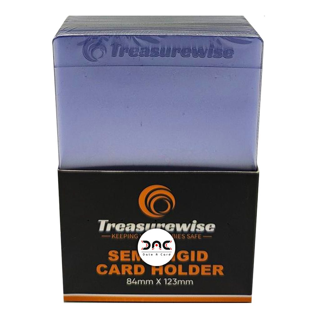 TreasureWise - Semi-Rigid Card Holder - Card Saver